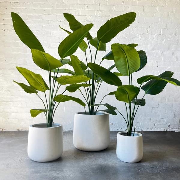 Artificial Plants